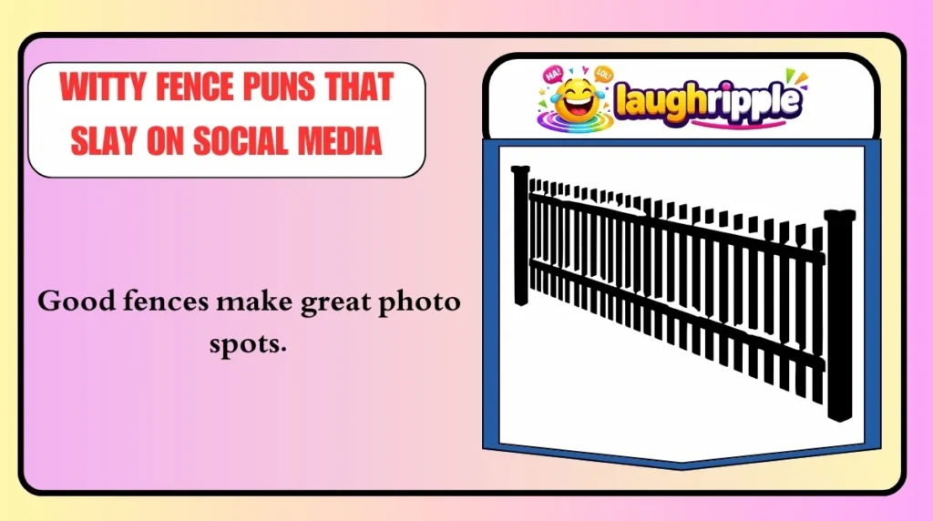 Good fences make great photo spots.