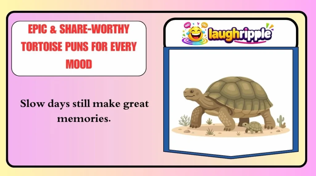 Epic & Share-Worthy Tortoise Puns for Every Mood