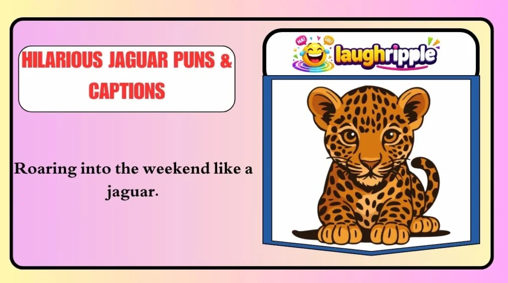 Hilarious Jaguar Puns & Captions