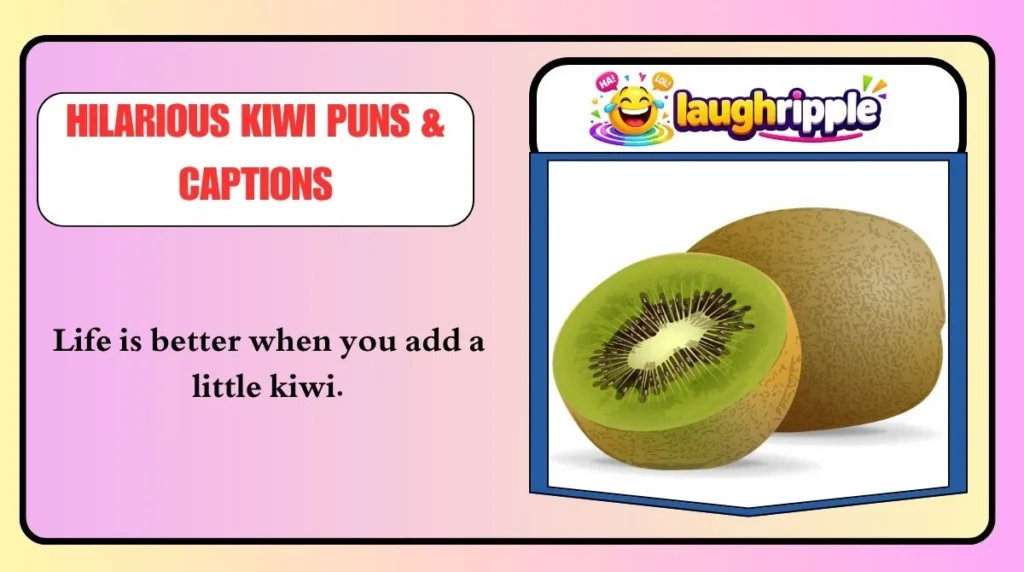 Hilarious Kiwi Puns & Captions