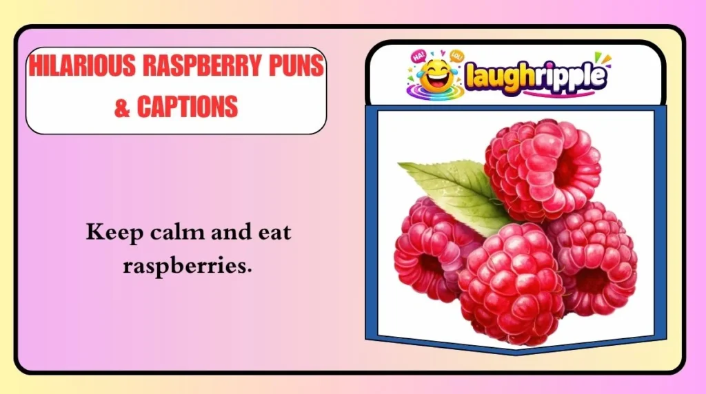 Hilarious Raspberry Puns & Captions