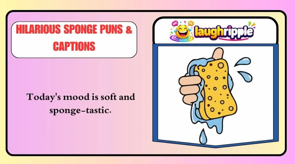 Hilarious Sponge Puns & Captions