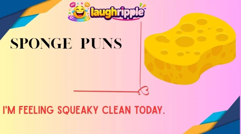 Sponge Puns