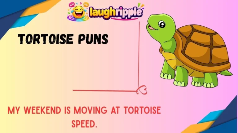 Tortoise Puns