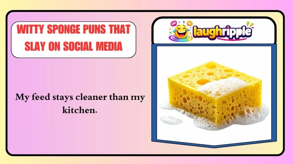 Witty Sponge Puns That Slay on Social Media
